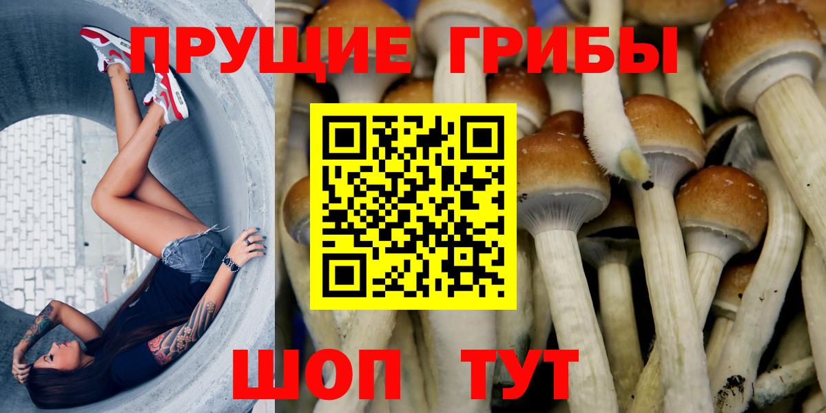 Галлюциногенные грибы Magic Shrooms Красноуфимск