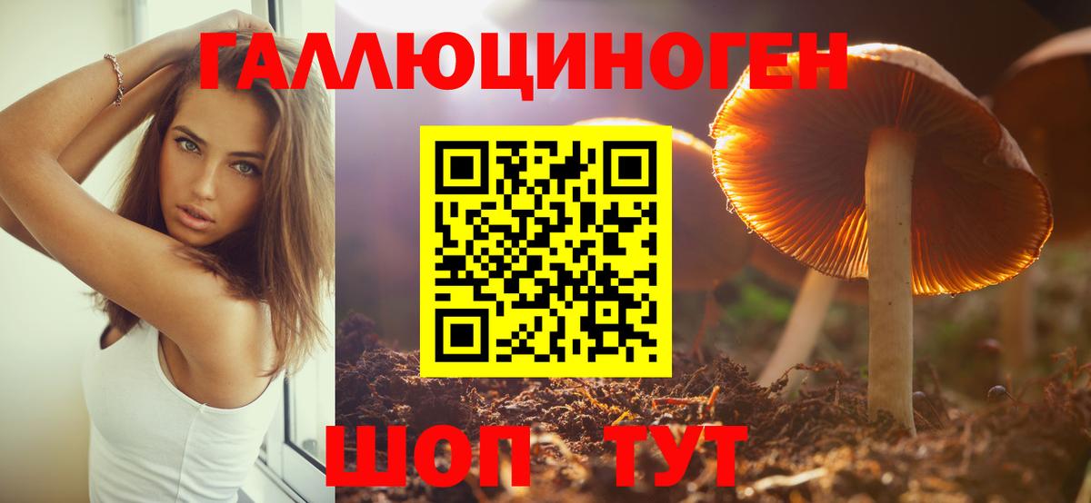 Красноуфимск  Галлюциногенные грибы прущие грибы  Вход с VPN  купить наркотик  Псилоцибиновые грибы Magic Shrooms 